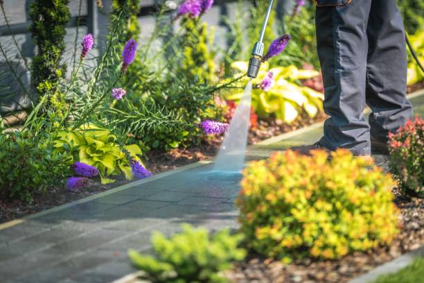 Best Sidewalk and Walkway Pressure Cleaning in South San Gabriel, CA